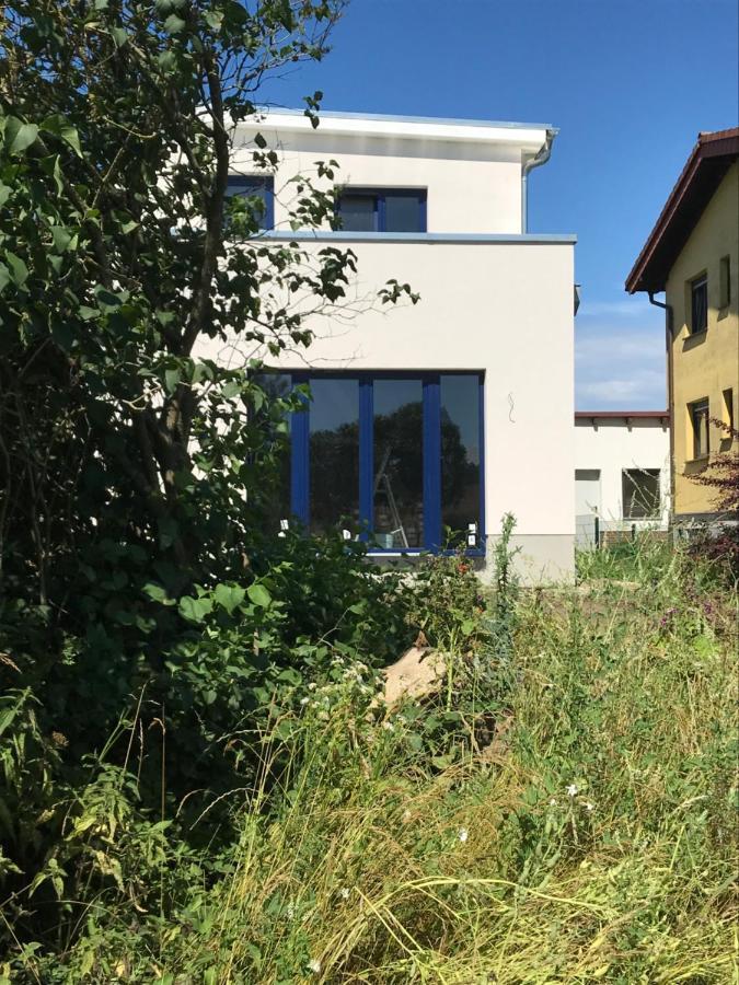 Hof Uhleck Am Koenigsstuhl Apartment Lohme Ngoại thất bức ảnh